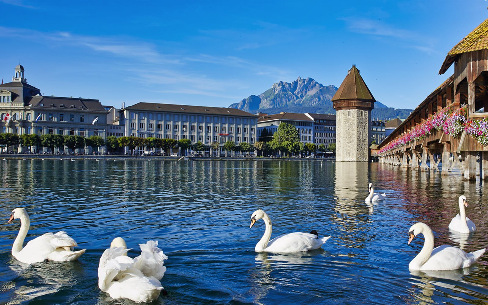 From Zürich: Lucerne Day Trip with Optional Motorboat Cruise Image 1
