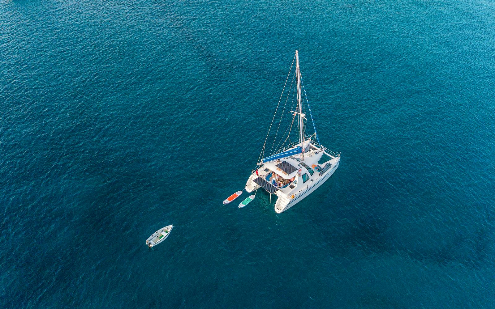 Full-Day Castaway Island Small Group Cruise by High Speed Catamaran including Lunch & Hotel Transfers Image 12