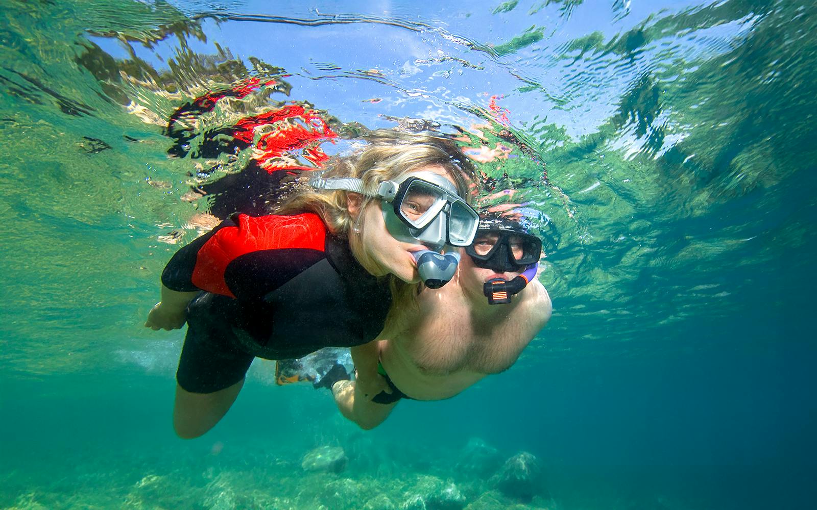 Full-Day Castaway Island Small Group Cruise by High Speed Catamaran including Lunch & Hotel Transfers Image 3