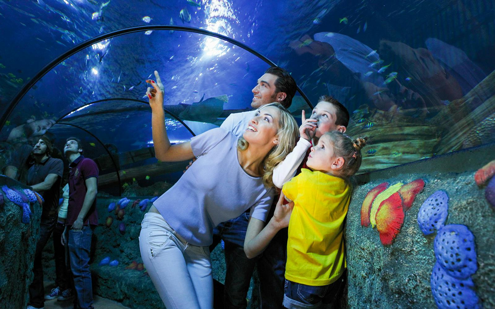 Gardaland Sea Life Aquarium Entry Tickets Image 5