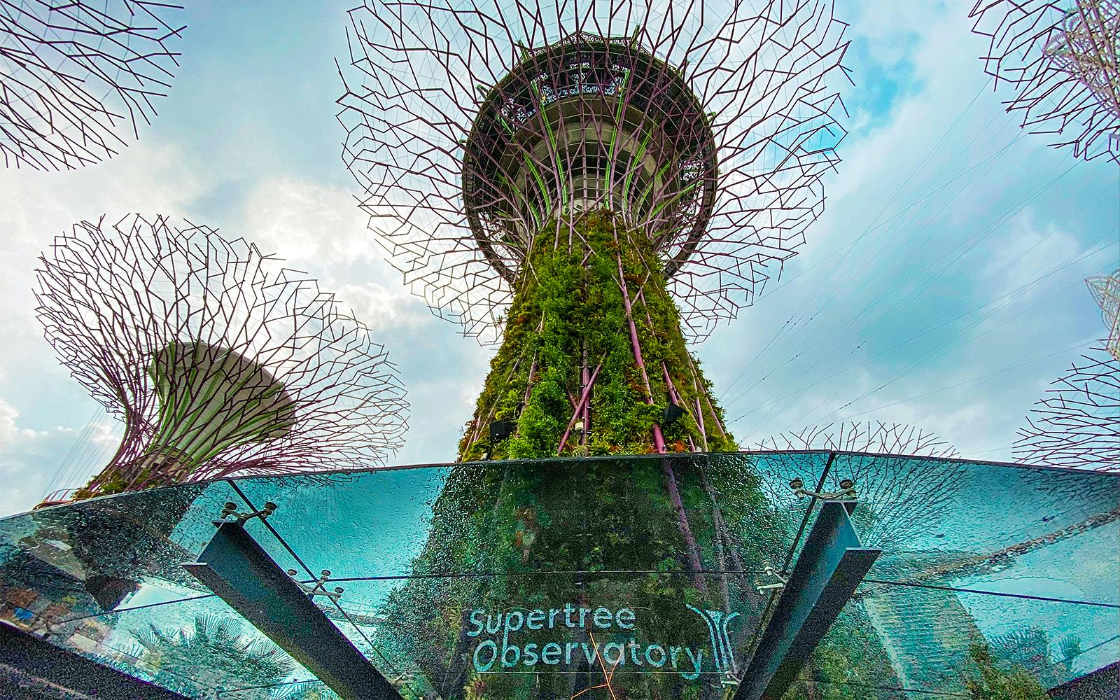 Gardens by the Bay Tickets: Cloud Forest (Jurassic World Experience) + Flower Dome + Supertree Observatory  Image 12
