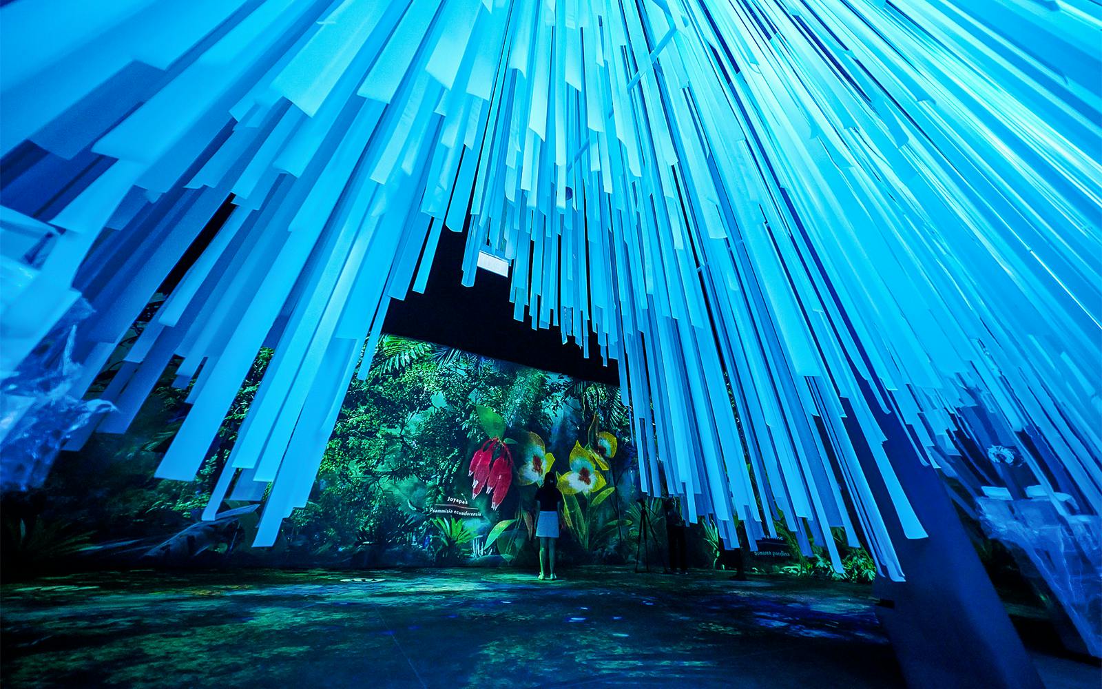 Gardens by the Bay Tickets: Cloud Forest (Jurassic World Experience) + Flower Dome + Supertree Observatory  Image 4
