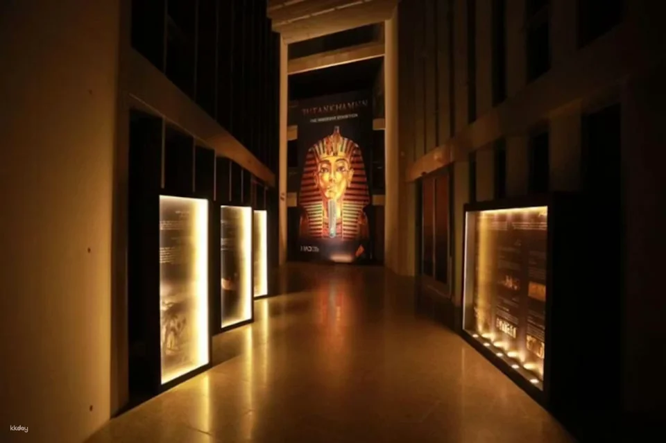 Grand Egyptian Museum Ticket | Egypt