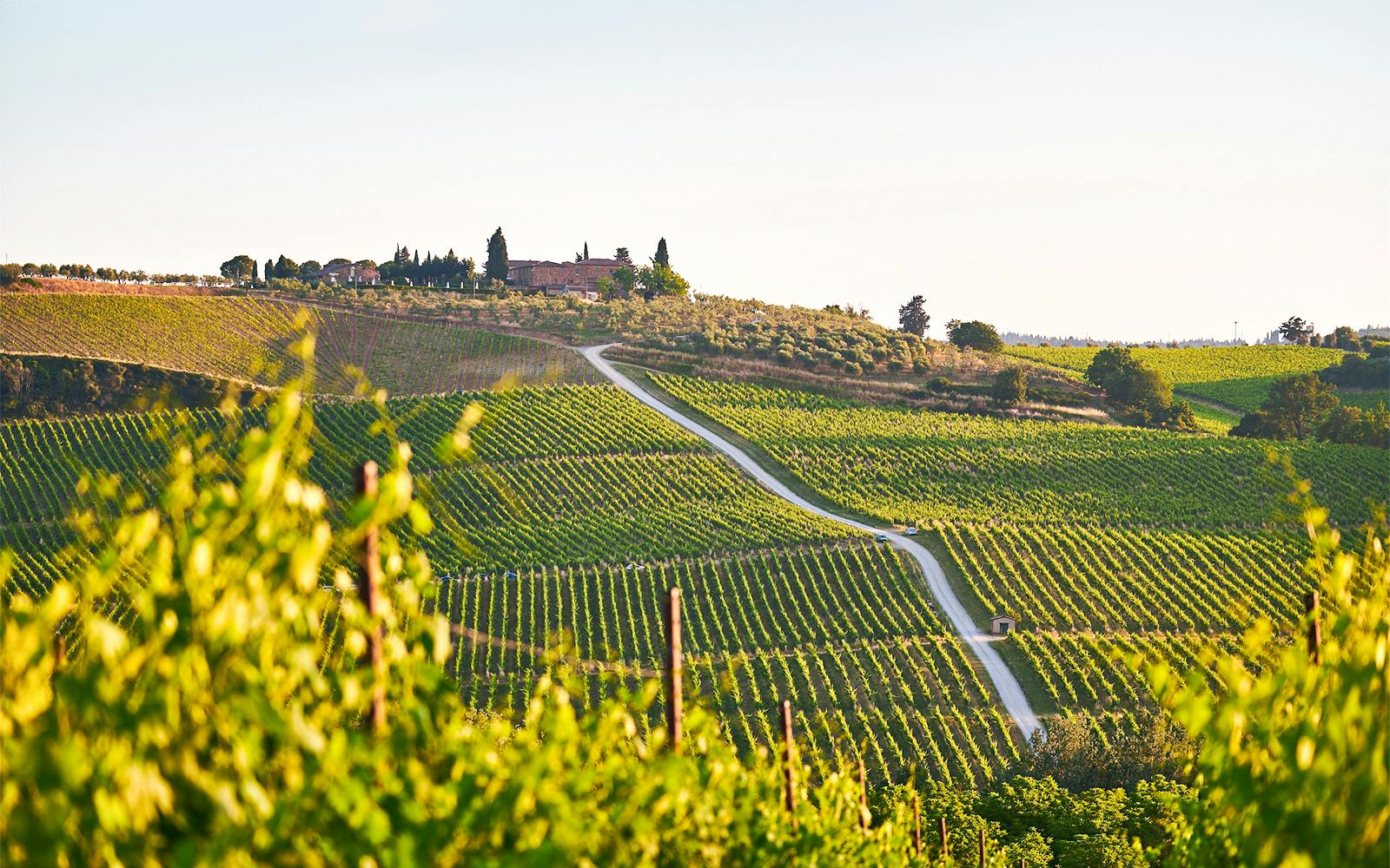 Guided E-Bike Rental in Chianti with Dinner Image 2