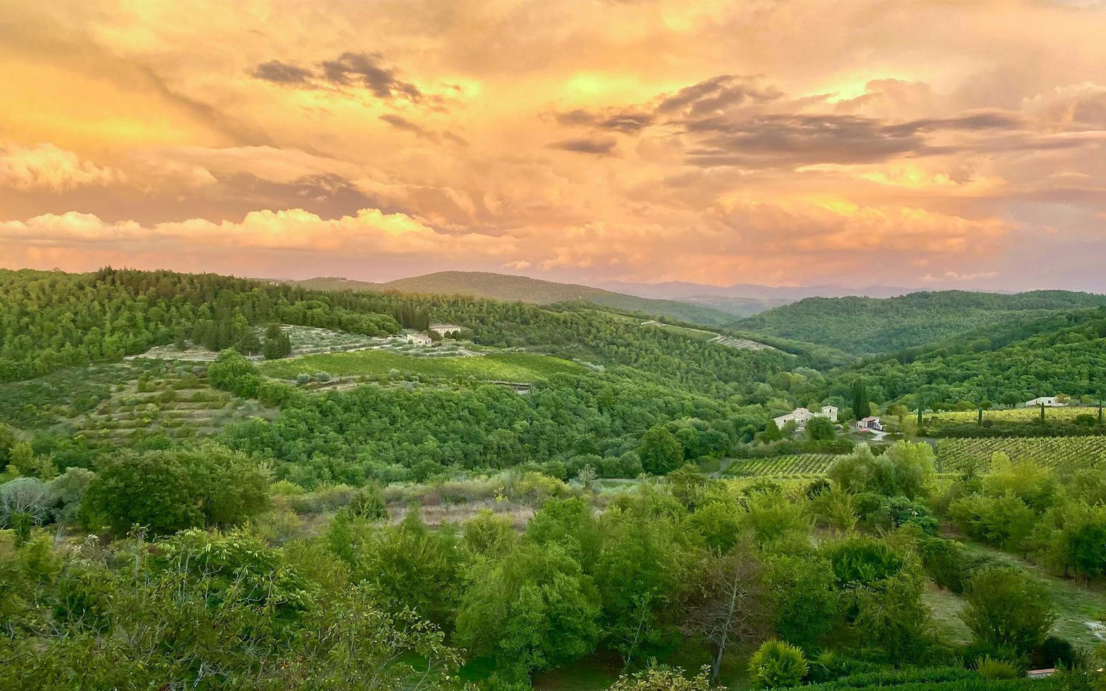 Guided E-Bike Rental in Chianti with Dinner Image 3