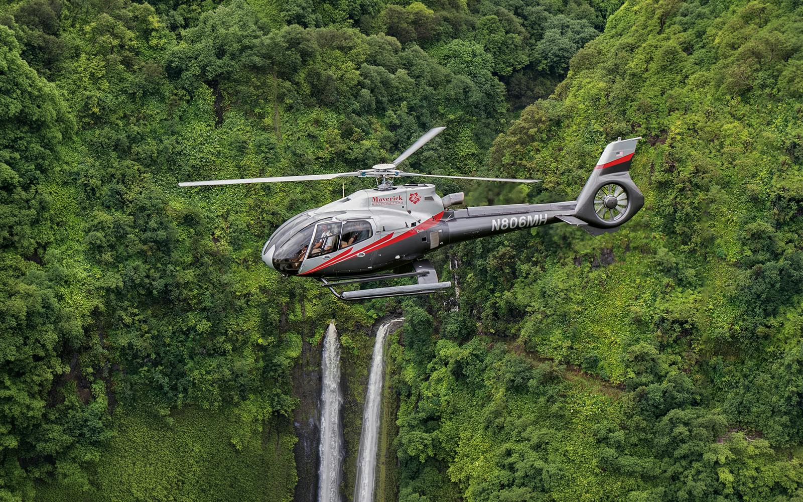 Hana Rainforest Helicopter Tour with Landing Image 3