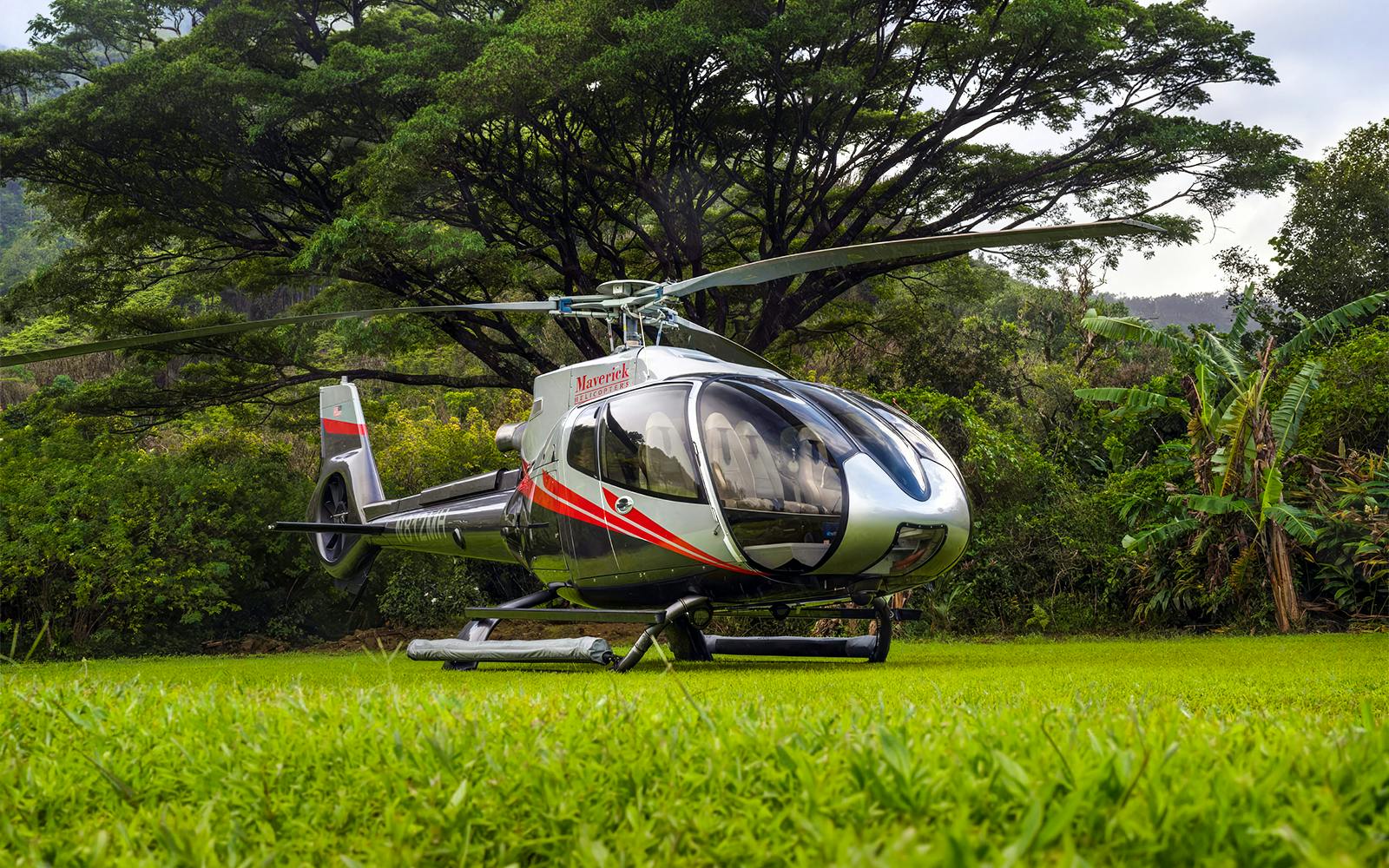 Hana Rainforest Helicopter Tour with Landing Image 7
