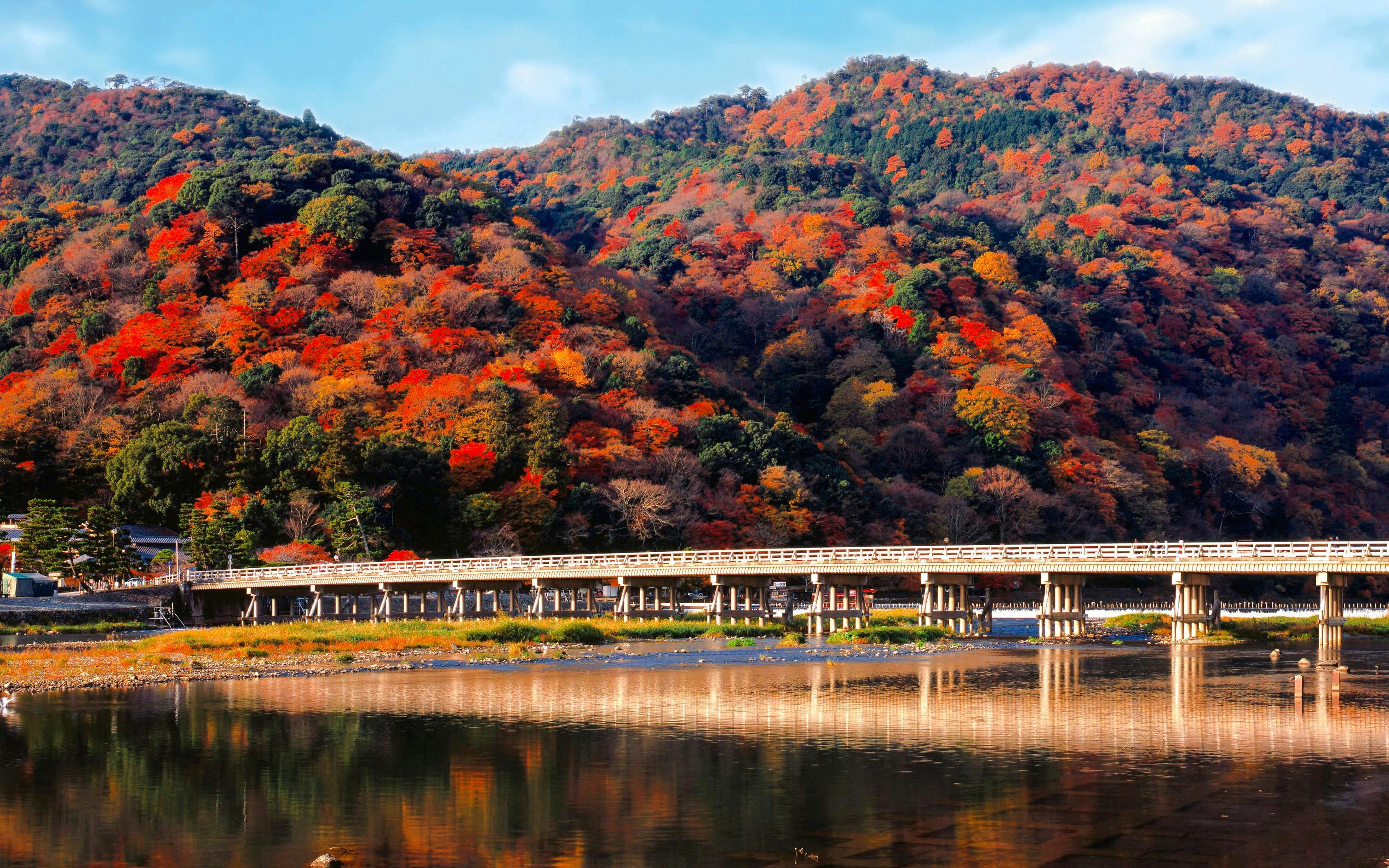 Hankyu Railway 1-Day Pass: Between Osaka, Kyoto, Kobe & Takarazuka Image 3