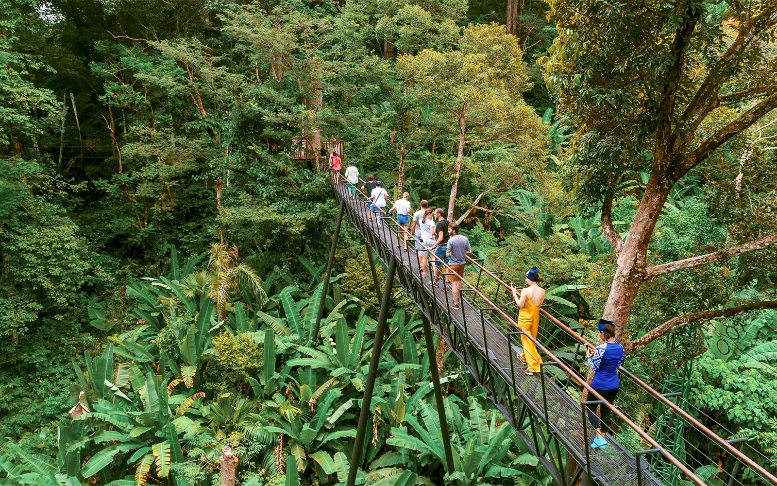 Hanuman World: 10 Platforms Zipline Adventure Image 5