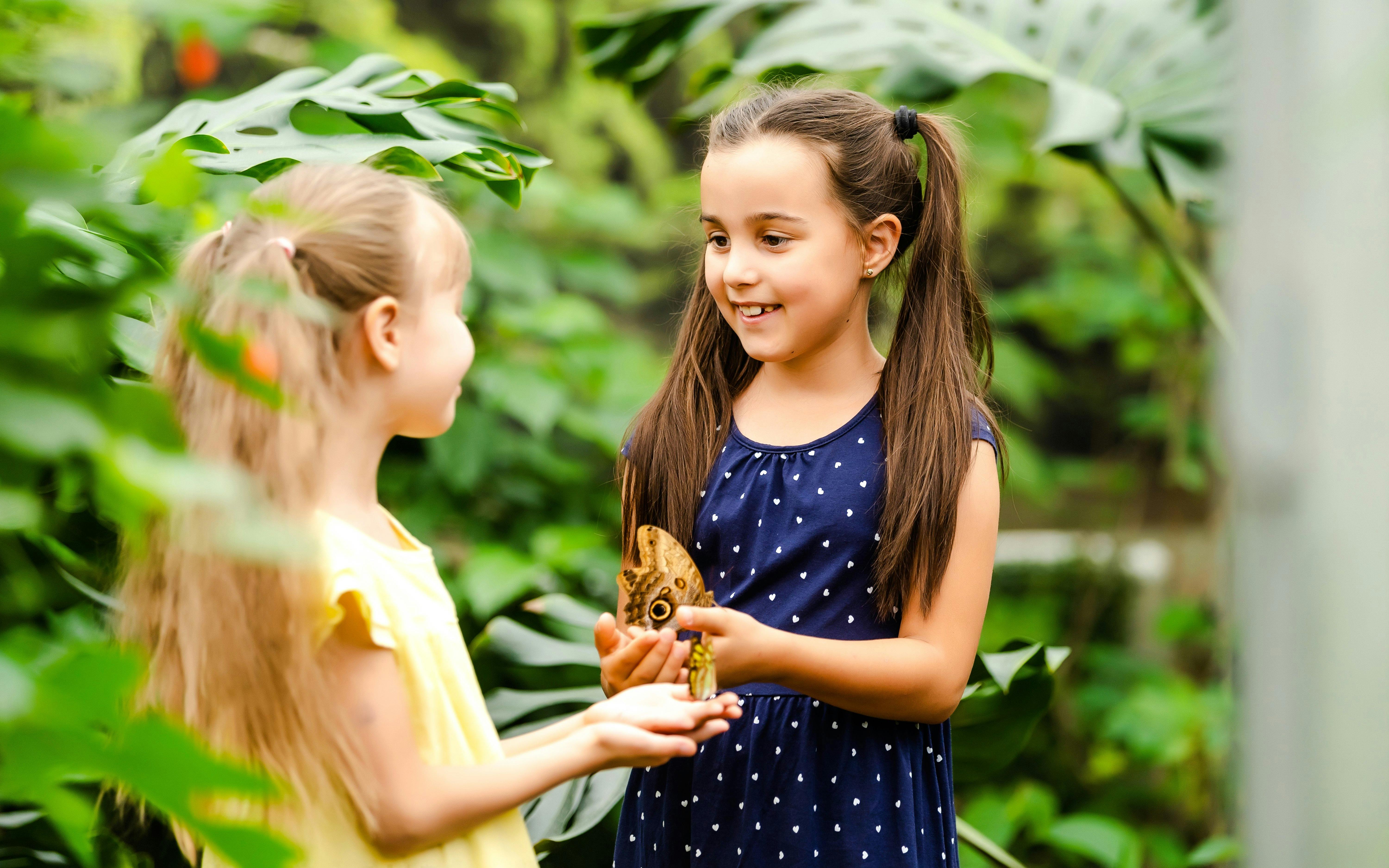 Headout Exclusive: The Butterfly Gardens Abu Dhabi Tickets Image 1