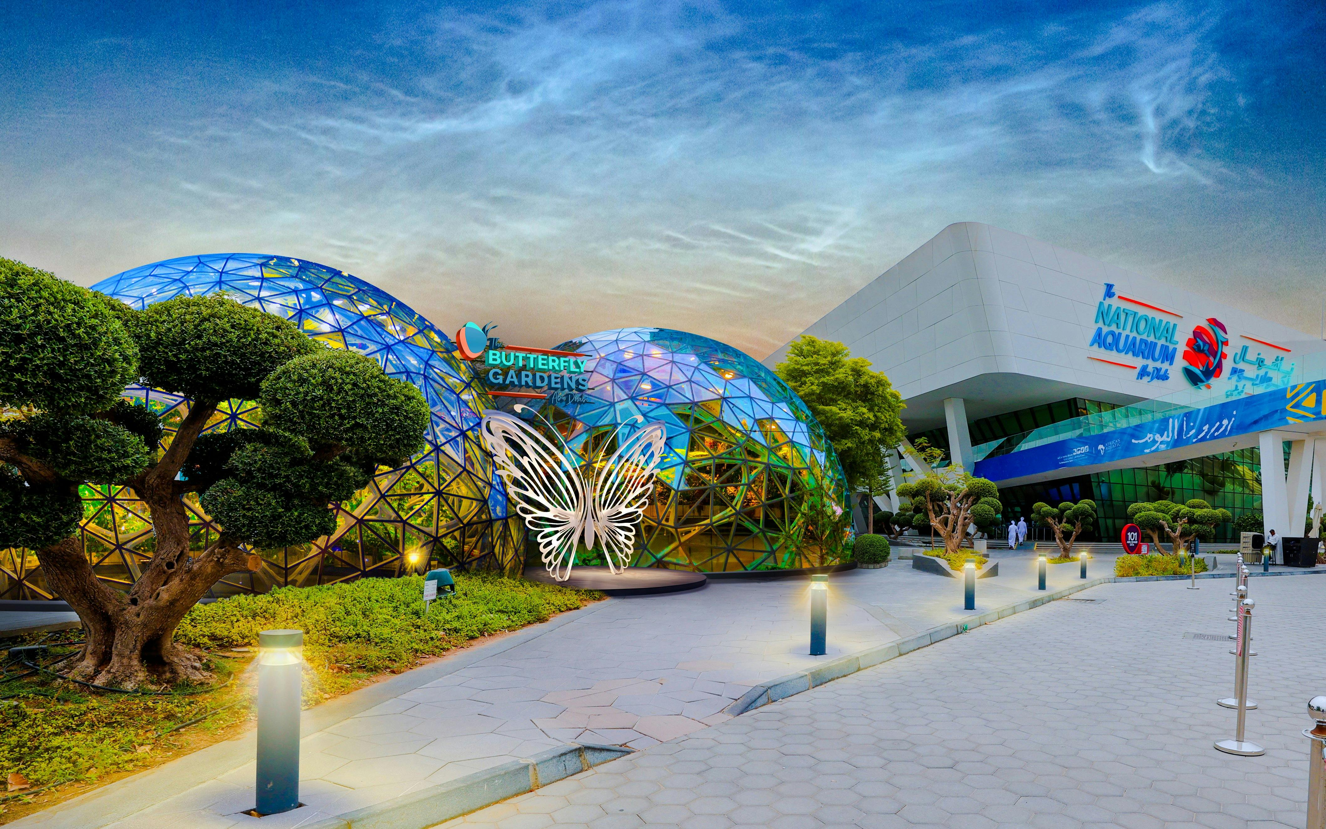 Headout Exclusive: The Butterfly Gardens Abu Dhabi Tickets Image 12