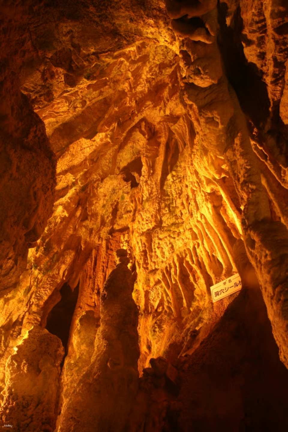 Hida Great Stalactite Cave Ticket Package | Includes round-trip bus transfer from Takayama