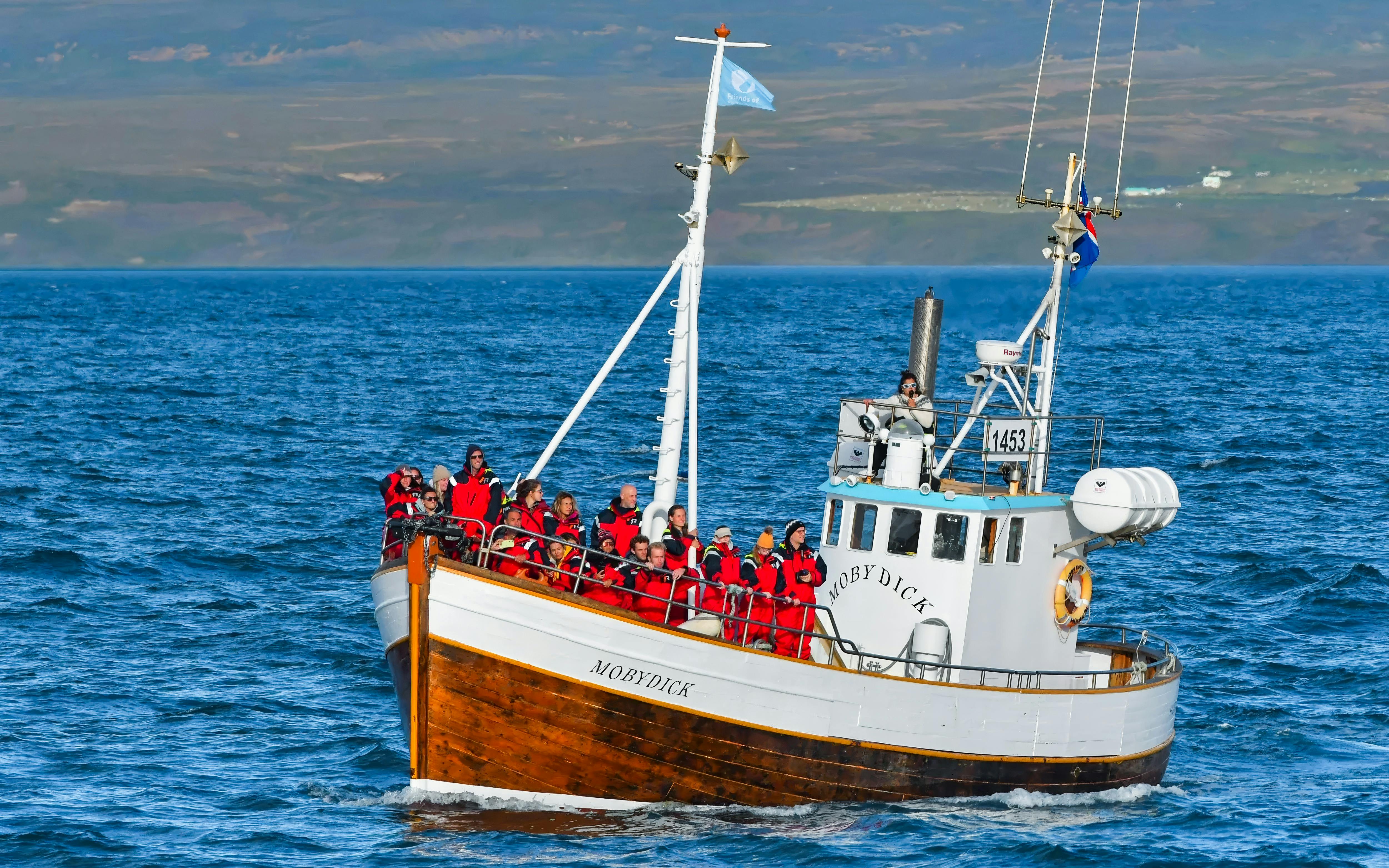 Husavik: Small-Family Run, Locally Owned, Sustainable Whale Watching Image 2