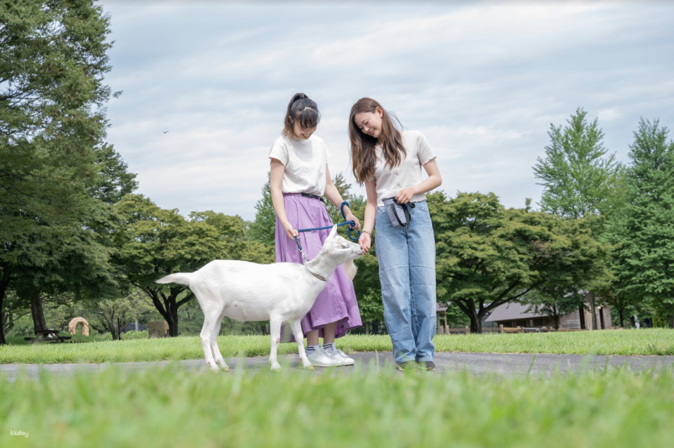 Ikaho Green Bokujo Admission Ticket | Gunma