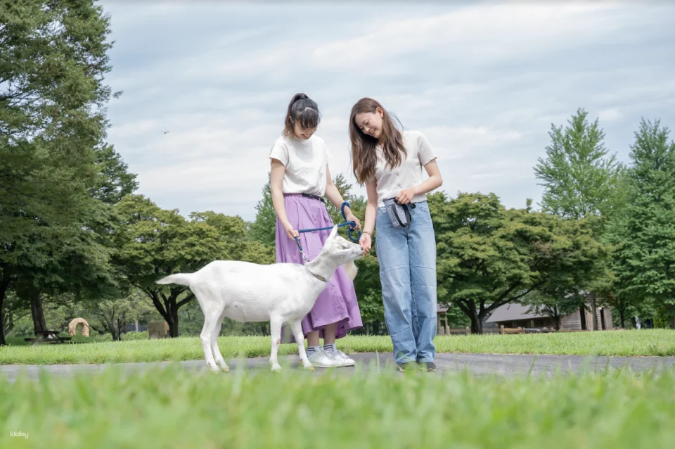 Ikaho Green Bokujo Admission Ticket | Gunma