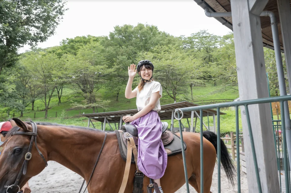 Ikaho Green Bokujo Admission Ticket | Gunma