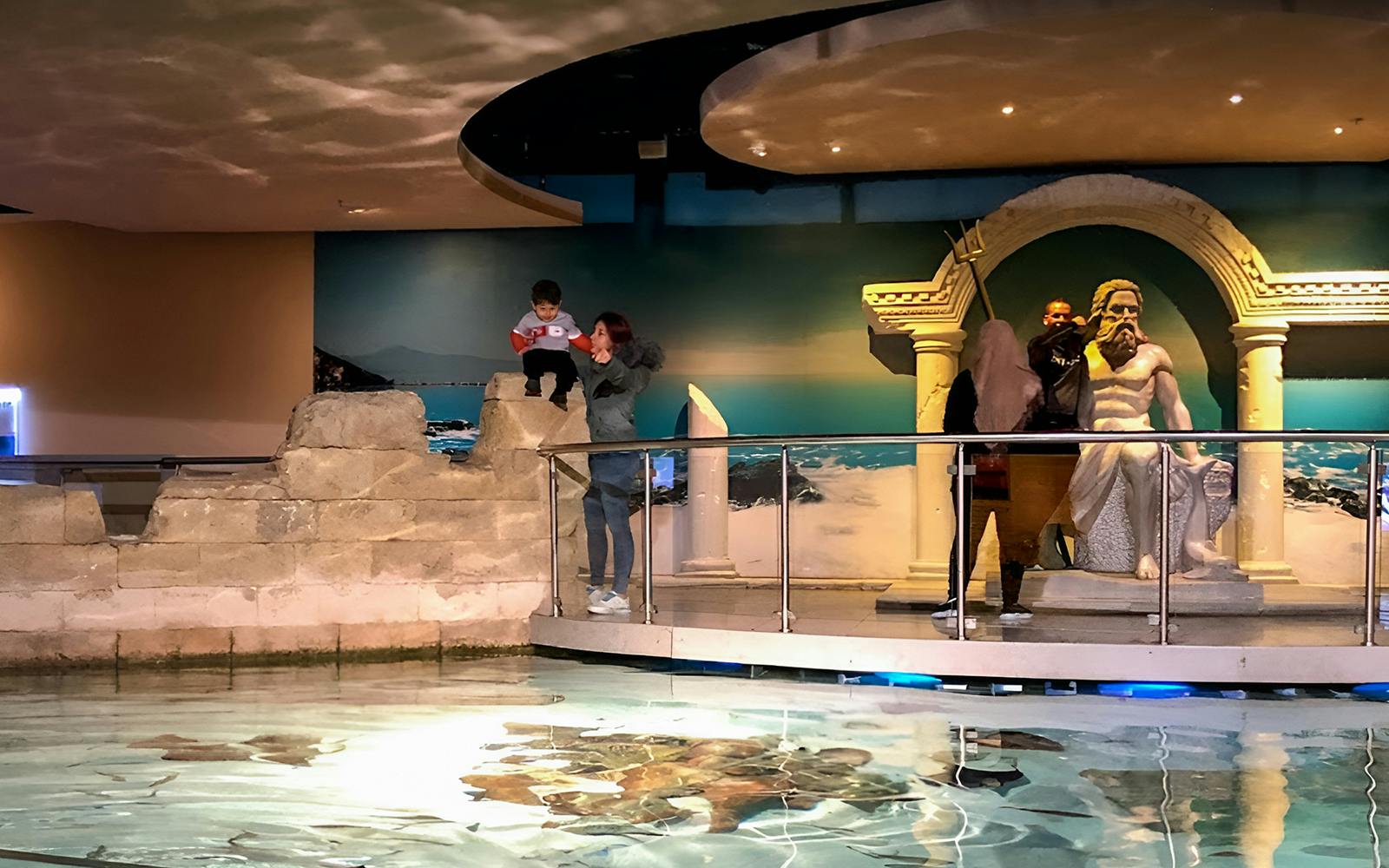 Istanbul Aquarium Skip-the-Line Tickets with Round-Trip Shuttle from Taksim Image 9
