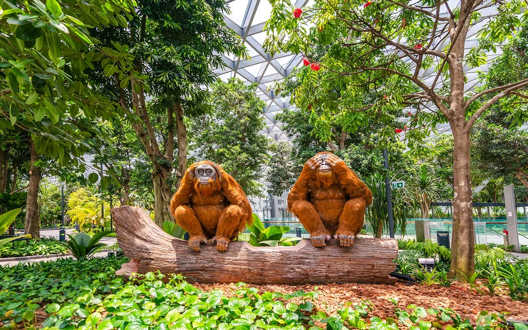 Jewel Changi Canopy Park Tickets with Mazes Image 3