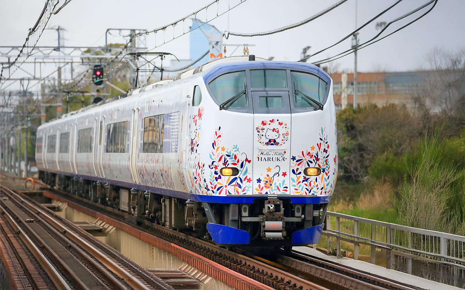 JR Haruka Kansai Airport Express: Train Transfers Between Kansai Airport & Osaka, Nara, or Kyoto Image 2