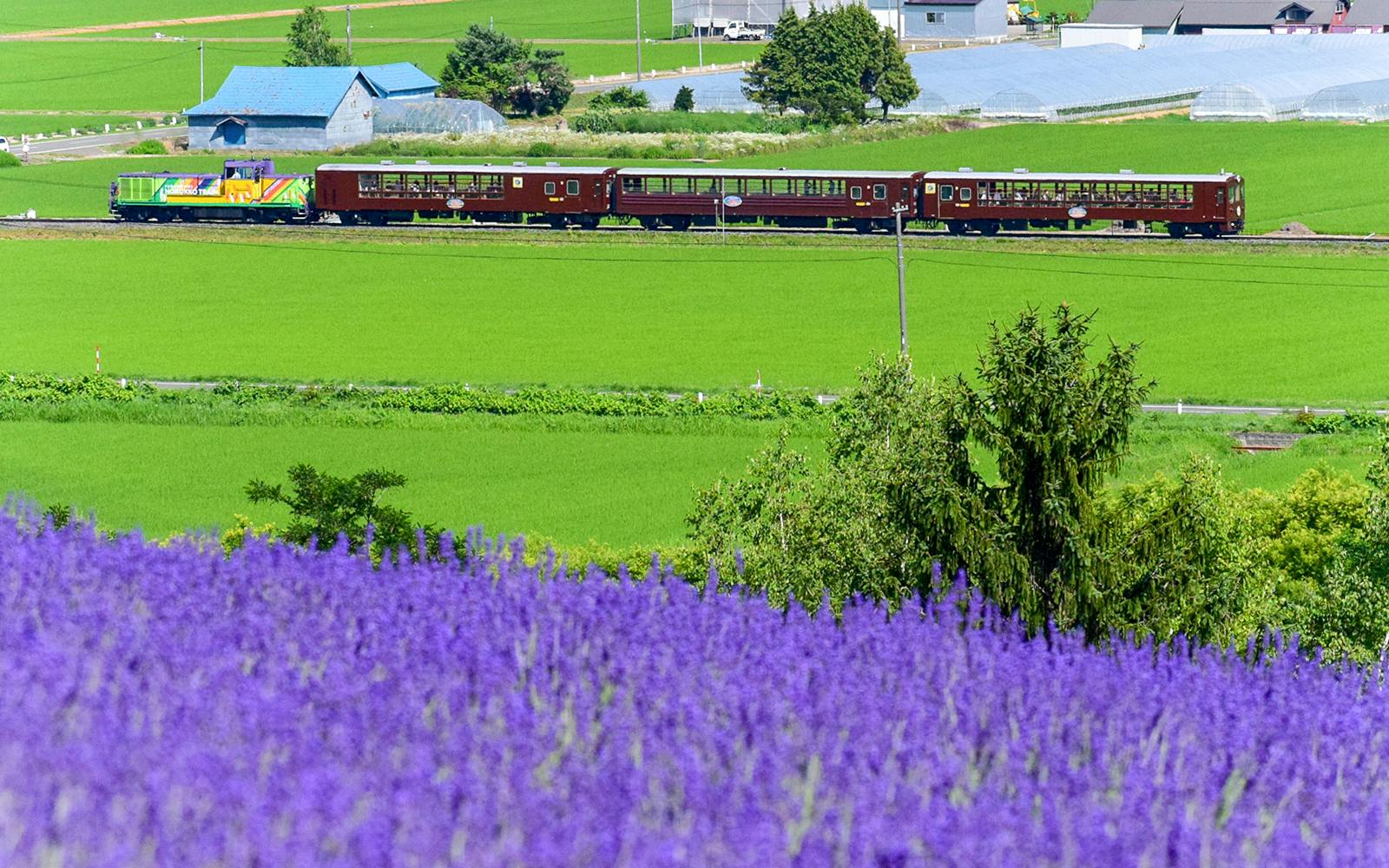 JR Hokkaido Rail Pass Image 4