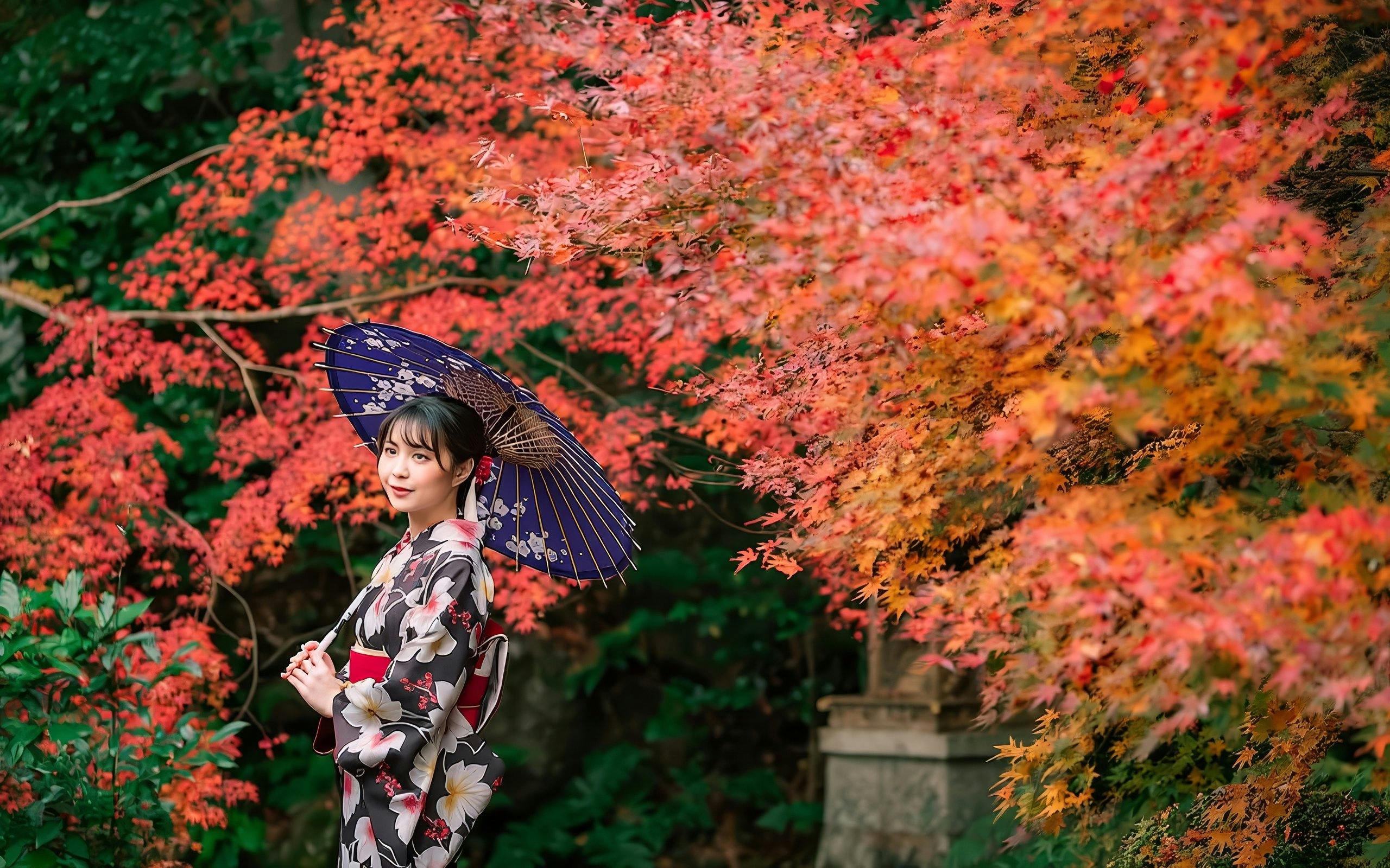 JR Kansai Mini Pass: 3-Day Unlimited Travel across Osaka, Kyoto, Nara & Kobe Image 4