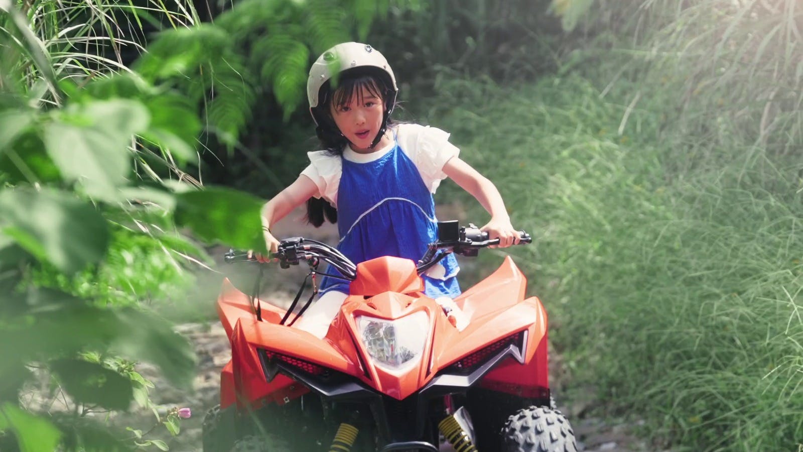 JUNGLIA OKINAWA Park Tickets Image 5