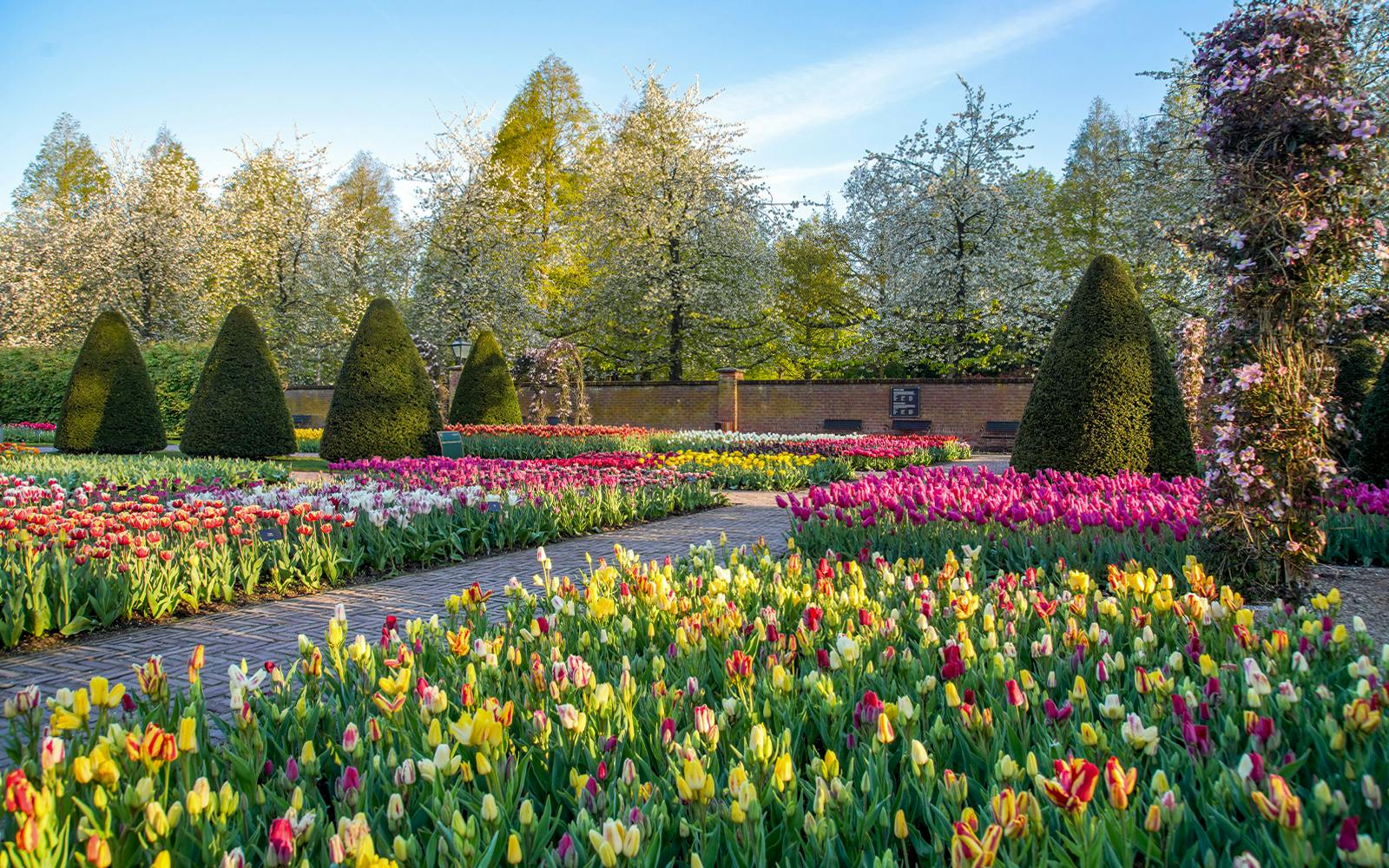 Keukenhof Entry with Transfers from Amsterdam Image 4