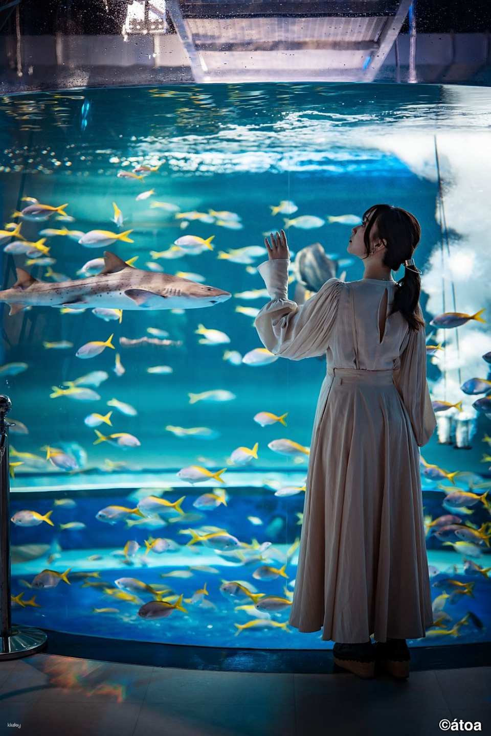 Kobe City Aquarium (AQUARIUM x ART átoa) Tickets