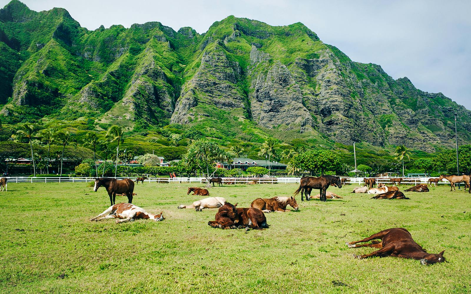 Kualoa Ranch: All-Inclusive Package Image 6