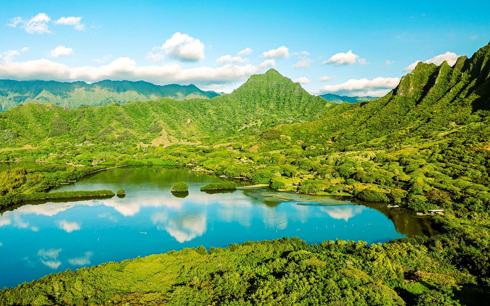 Kualoa Ranch: Kualoa Grown Tour Image 5
