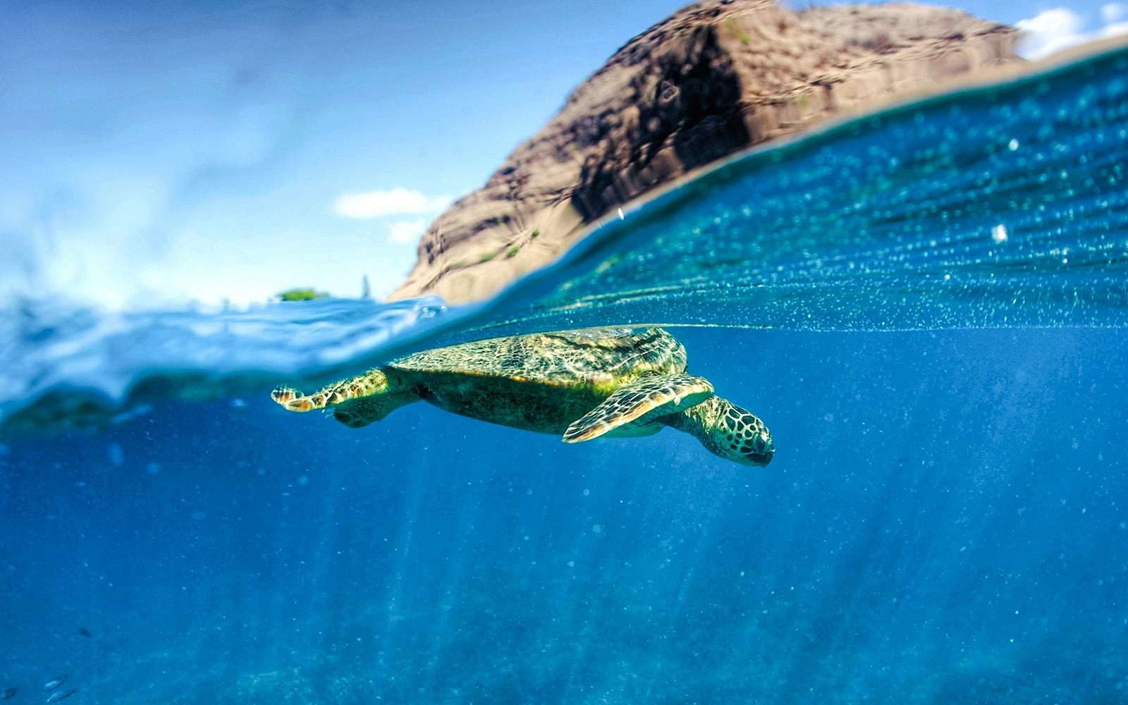 Kualoa Ranch: Ocean Voyage Tour Image 5