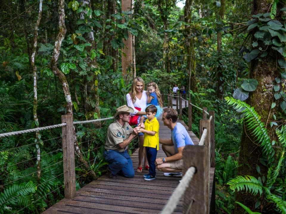 Kuranda Skyrail & Scenic Railway Day Package | Cairns