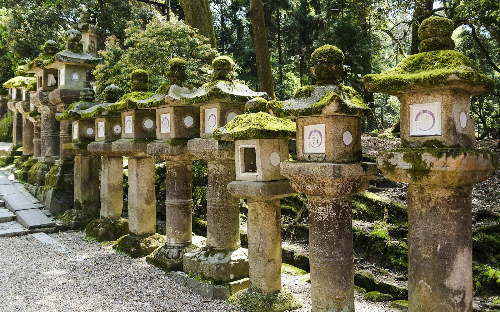 Kyoto & Nara by Private Car: Temples, Deer Park & Scenic Stops Image 3
