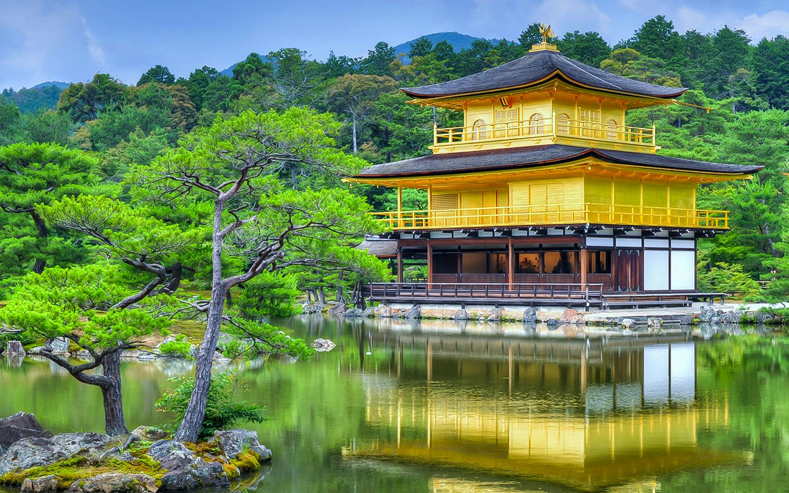 Kyoto & Nara by Private Car: Temples, Deer Park & Scenic Stops Image 4