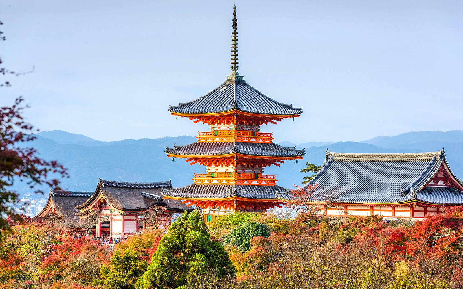 Kyoto & Nara Guided Tour: Temples, Deer Park & Timeless Icons from Osaka/Kyoto Image 2