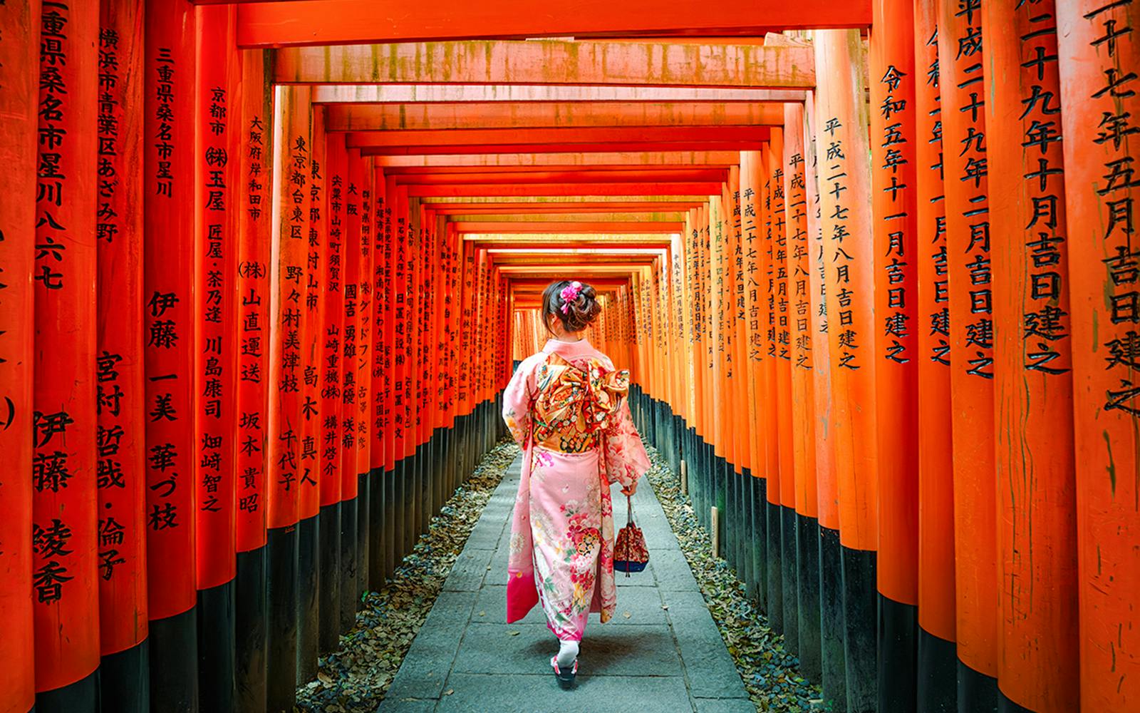 Kyoto & Nara Guided Tour: Temples, Deer Park & Timeless Icons from Osaka/Kyoto Image 3