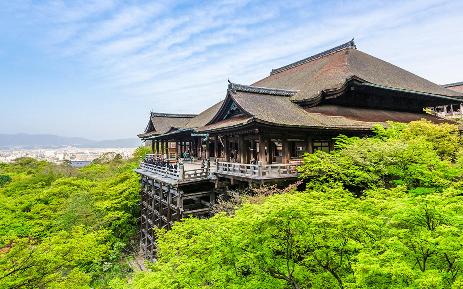 Kyoto & Nara Guided Tour: Temples, Deer Park & Timeless Icons from Osaka/Kyoto Image 4