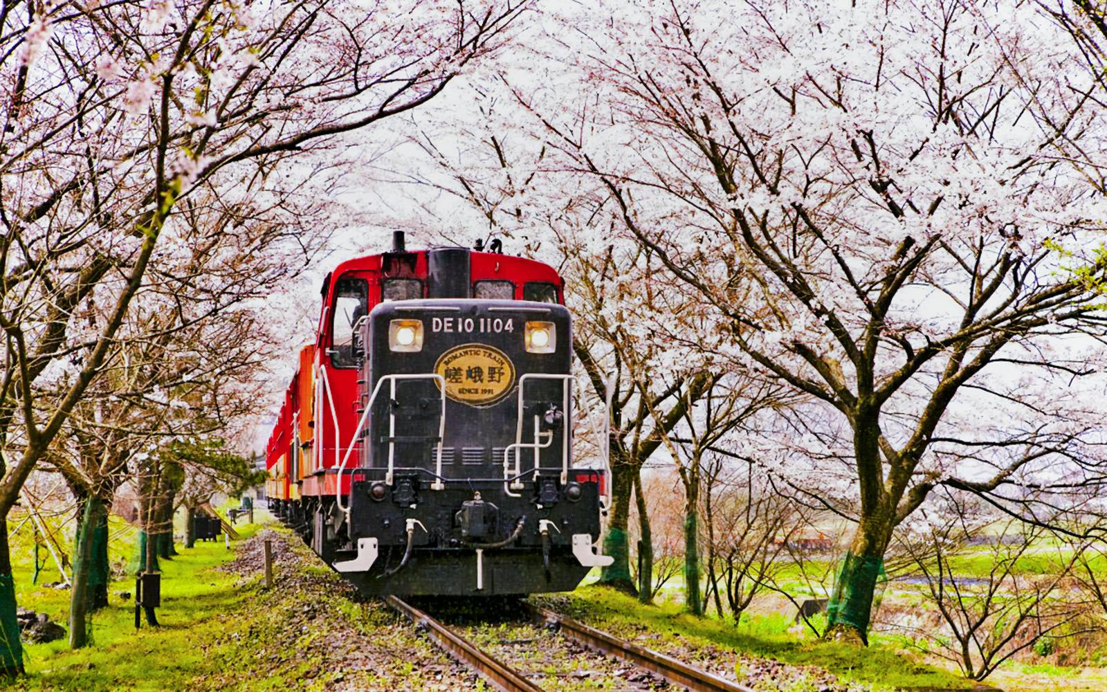 Kyoto Guided Tour: Bamboo Grove, Shrines & Nara Park from Osaka Image 5