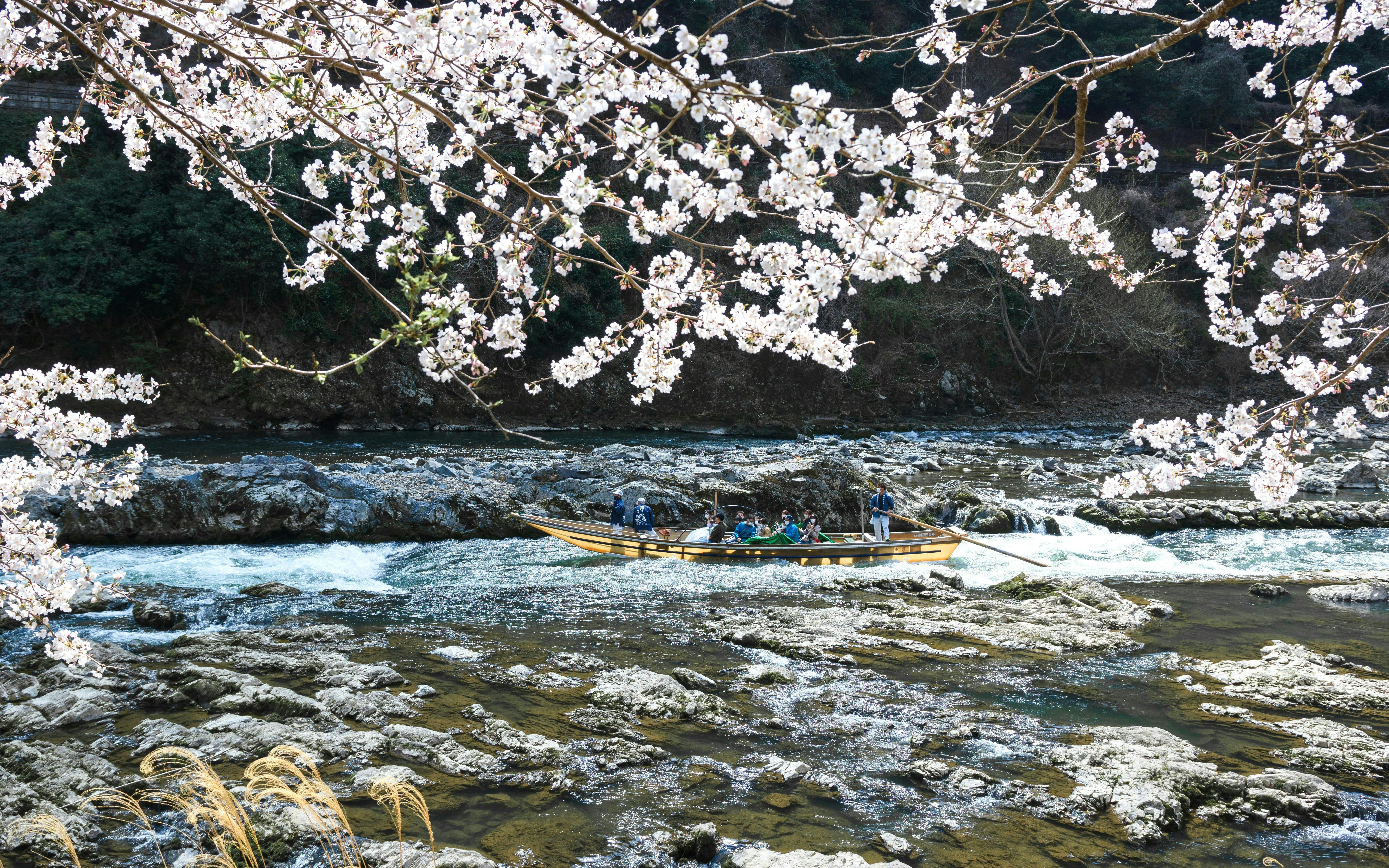 Kyoto Hozugawa River Boat Ticket Image 9