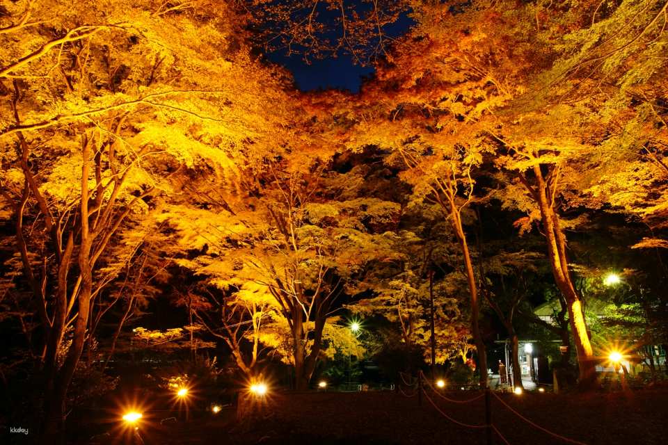 Kyoto, Japan｜Eizan Cable Car・Ropeway｜Round trip・One way ticket