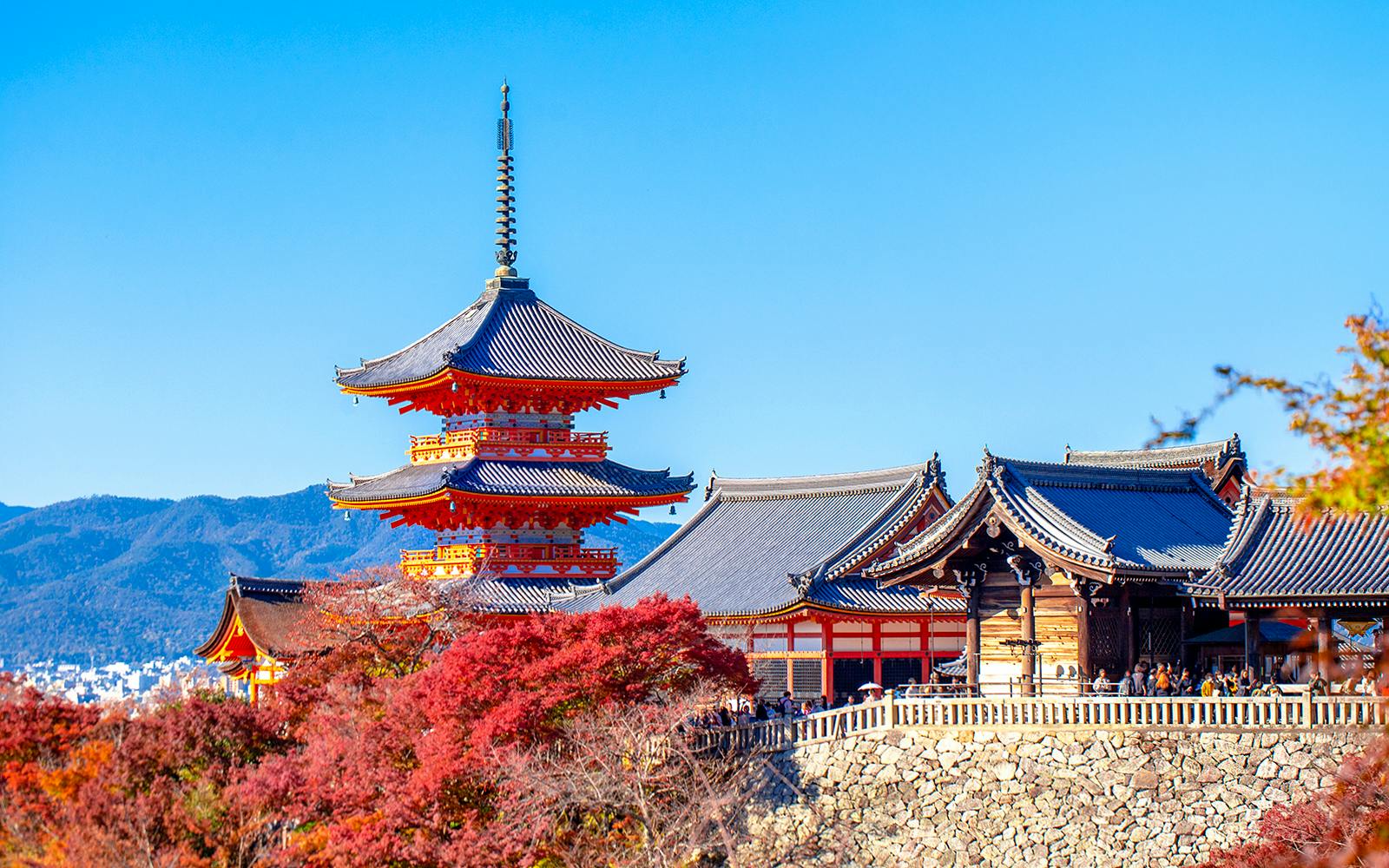 Kyoto's Top Temples Guided Tour: Fushimi Inari, Kiyomizu-dera & Kinkaku-ji from Osaka/Kyoto Image 4