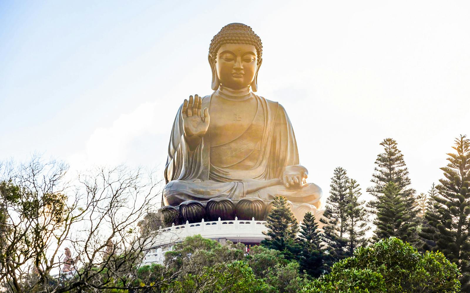  Lantau Guided Private Coach Tour Image 3