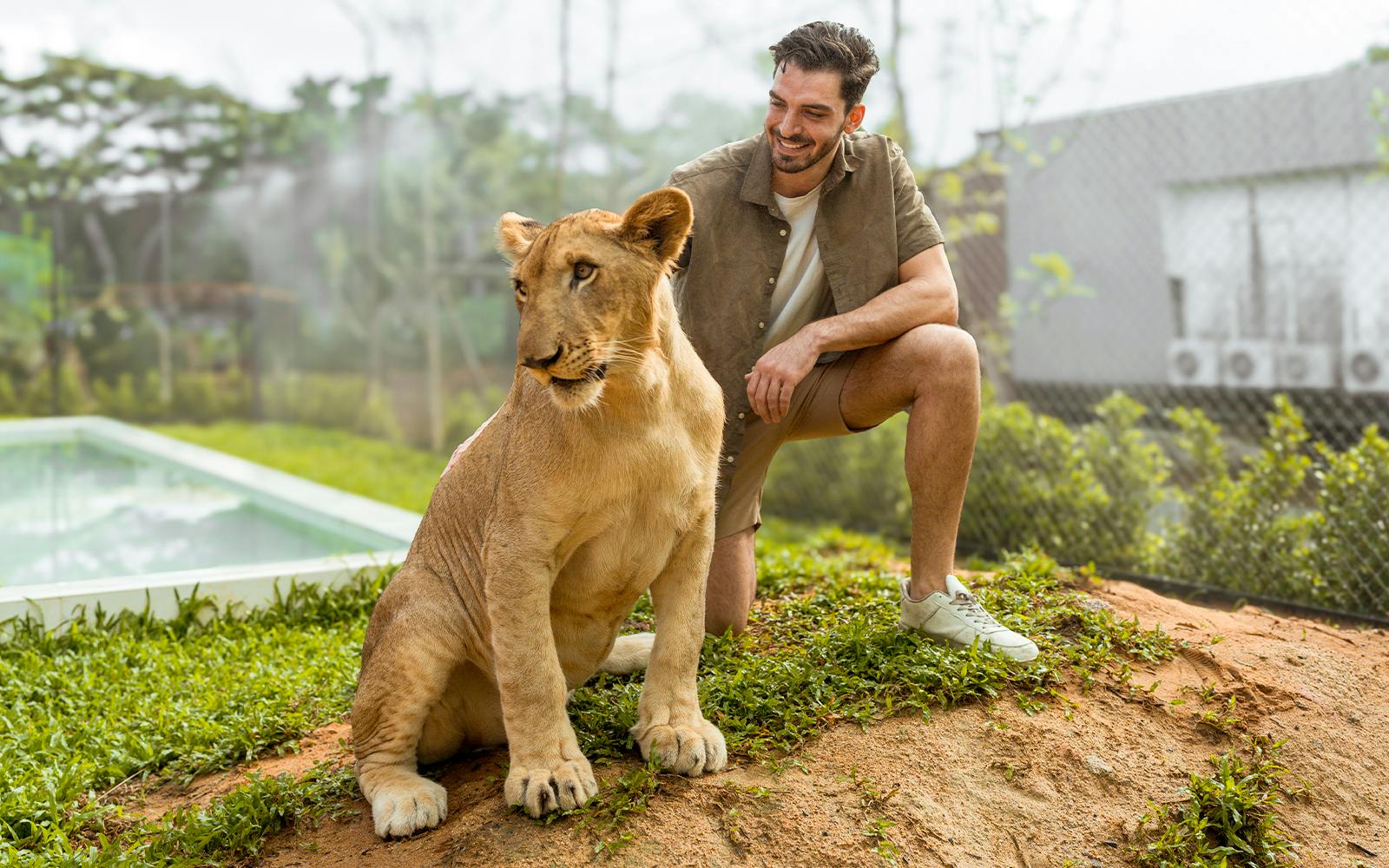 Lion Land Phuket Tickets Image 8