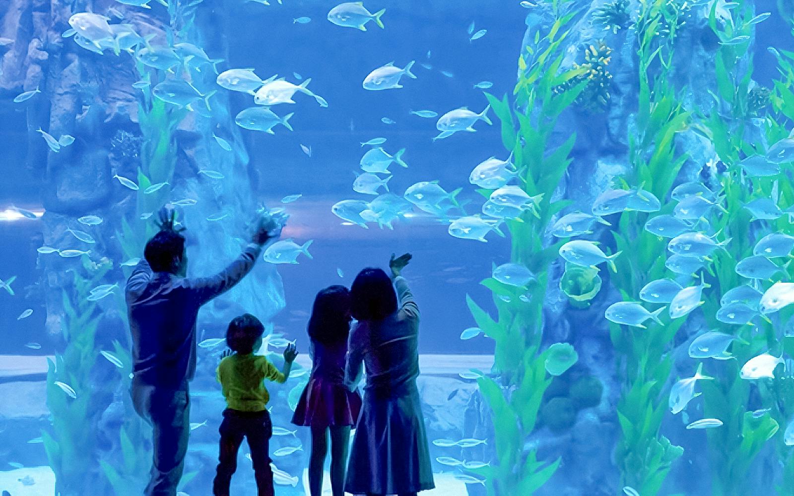 Lotte World Aquarium Tickets Image 1