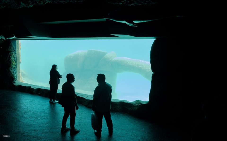 Marine Safari Bali (Oversea) in Bali | Indonesia