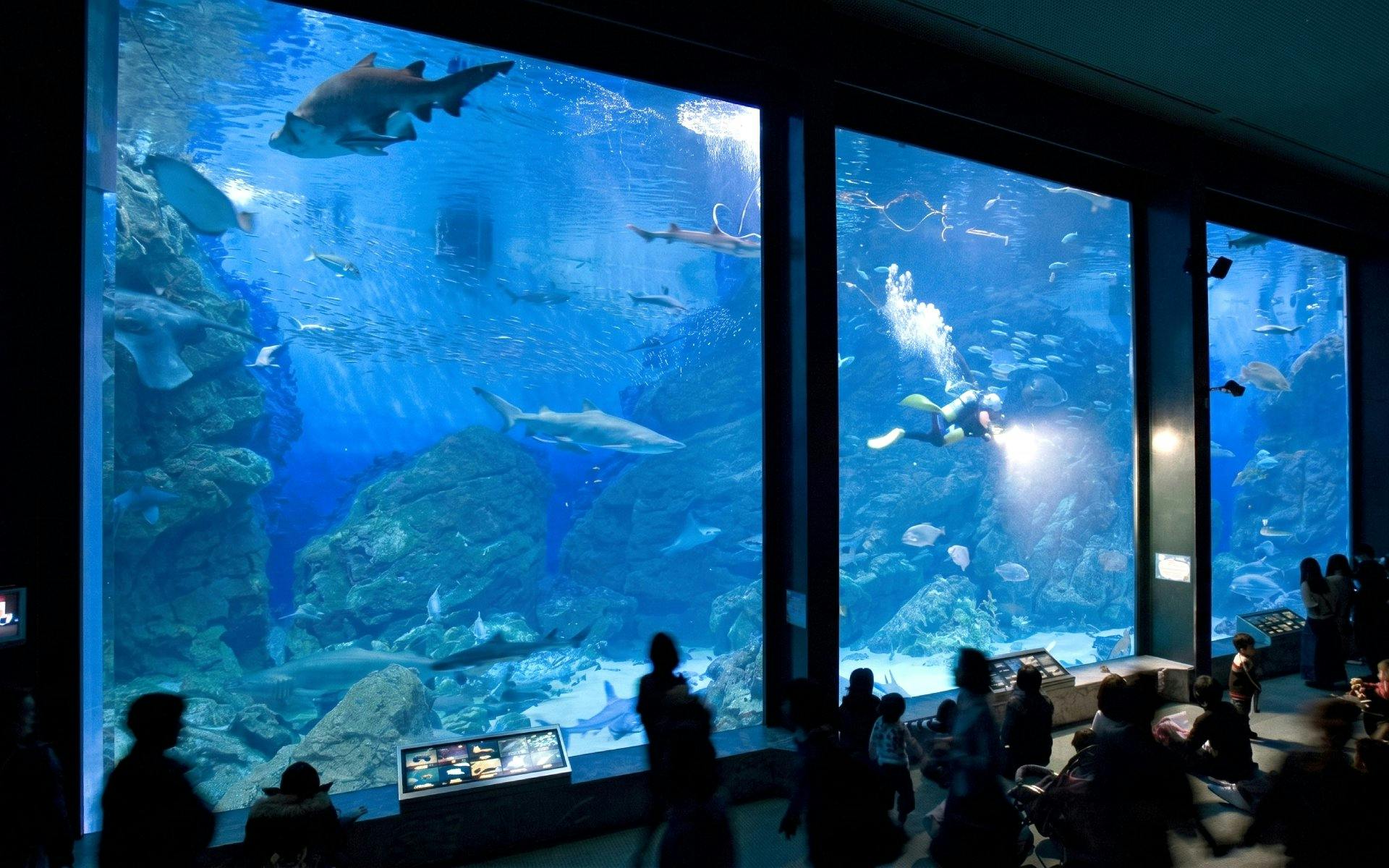 Marine World Uminonakamichi Tickets Image 5