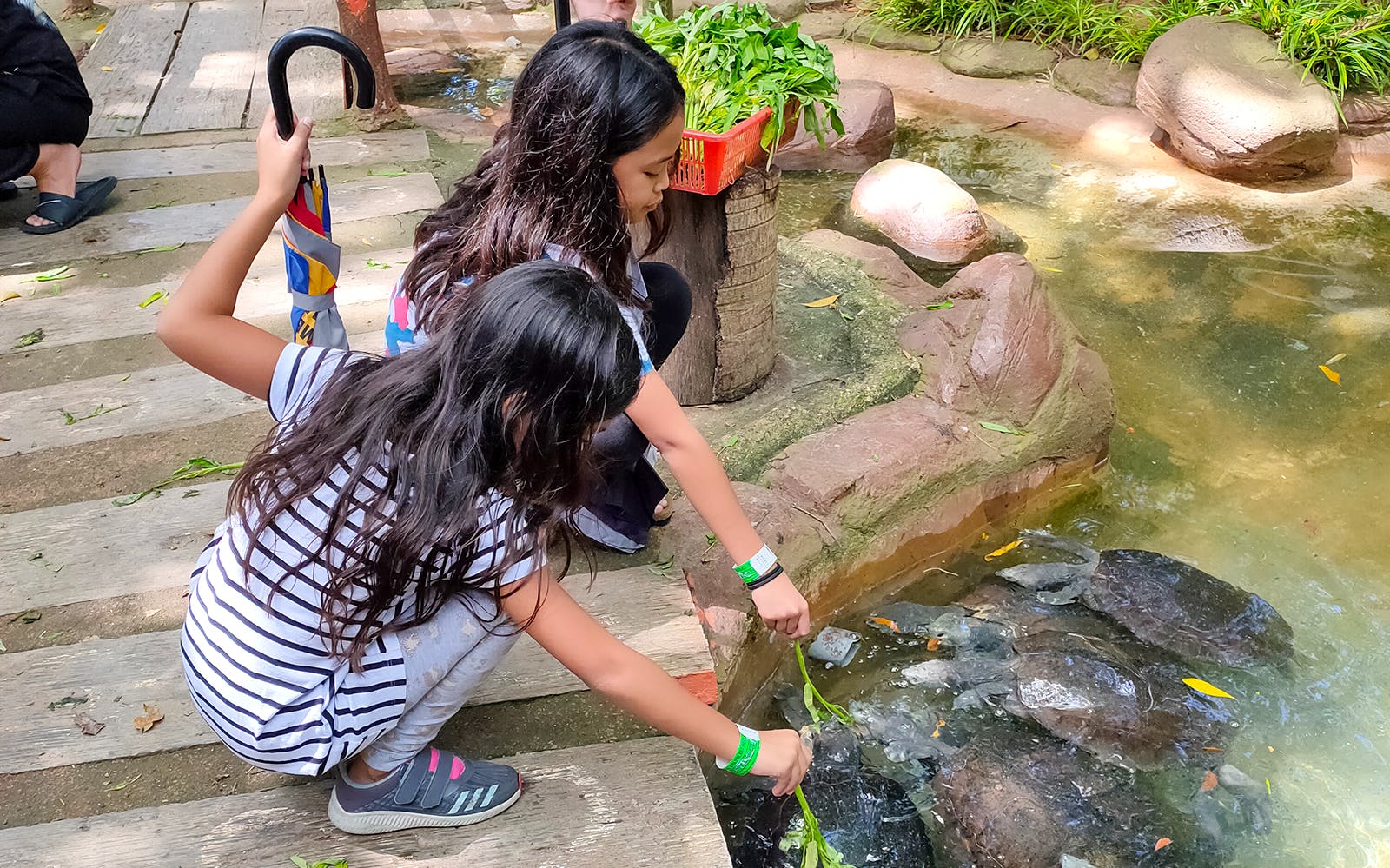 Melaka Crocodile & ​​Recreational Park Admission Image 2