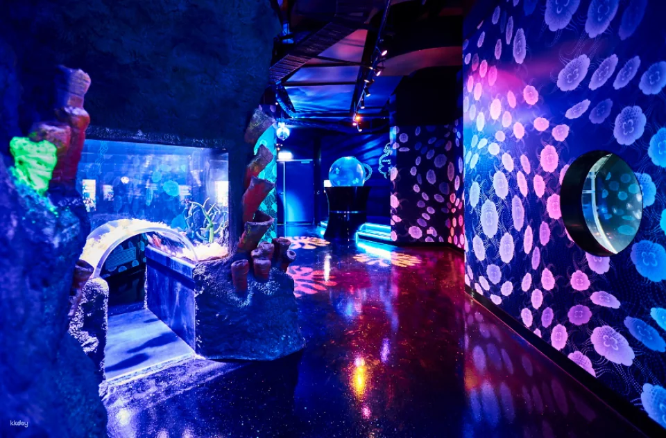 Melbourne SEA LIFE Aquarium Tickets | Victoria