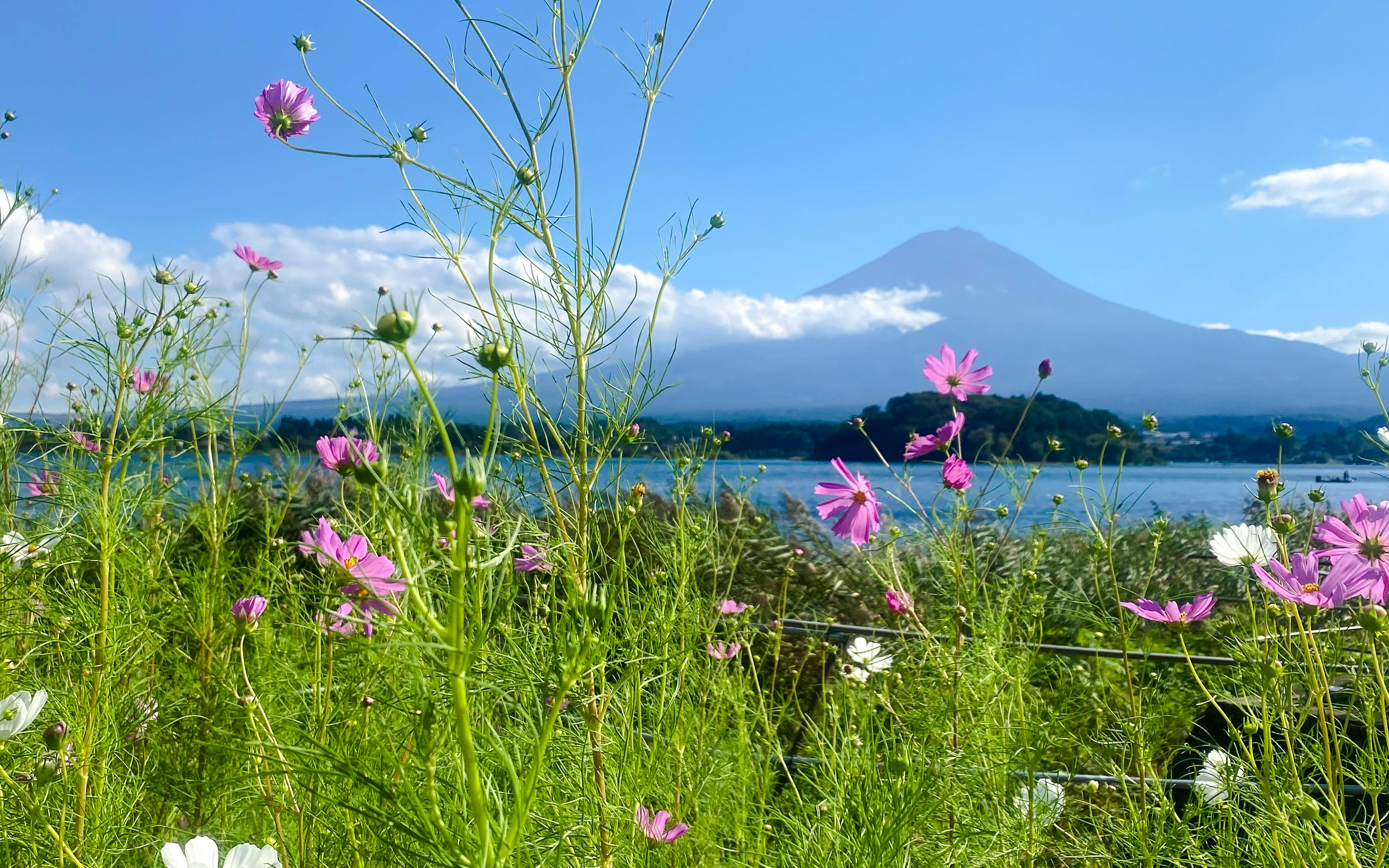 Mount Fuji, Lake Ashi & Big Buddha Day Tour with Native English/Spanish Guide Image 12