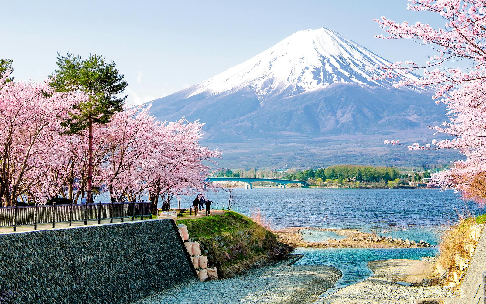 Mount Fuji Private Tour: Explore Top Spots at Your Pace (10 Hours) Image 2